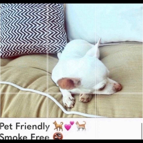 💋🦊 WildFox 🥳 Host Pick 🥳 Swim third eye crop tank top only NWT - Picture 12 of 13